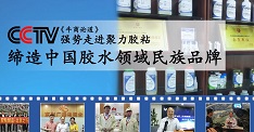 2018年聚力膠業(yè)加強(qiáng)人才隊伍建設(shè),加強(qiáng)自身競爭能力